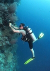 16-colin-munda-wall-copy