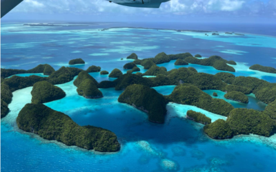 Palau – 21st March 2026 –  29th March 2026