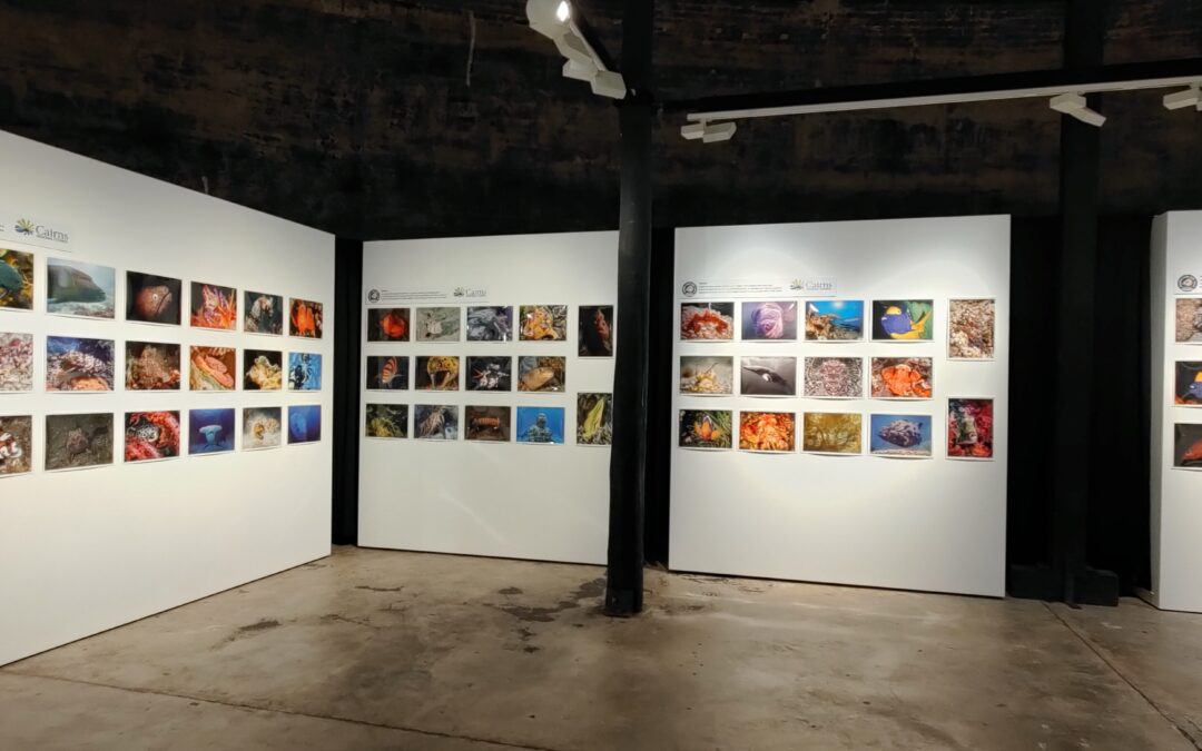 2023 Underwater Photo Competition