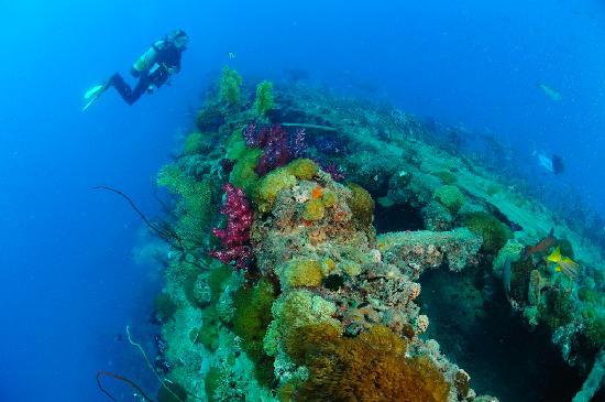 SS Yongala Shipwreck Club Dive September 2022
