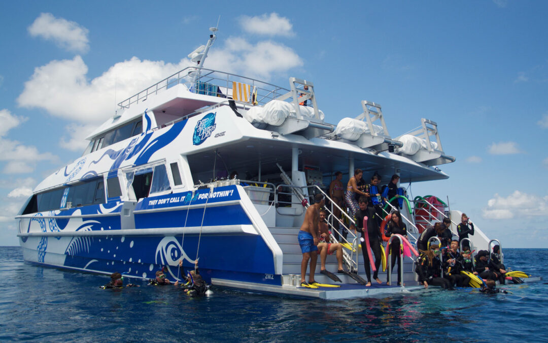 Regular Club Dive 30th September 2023