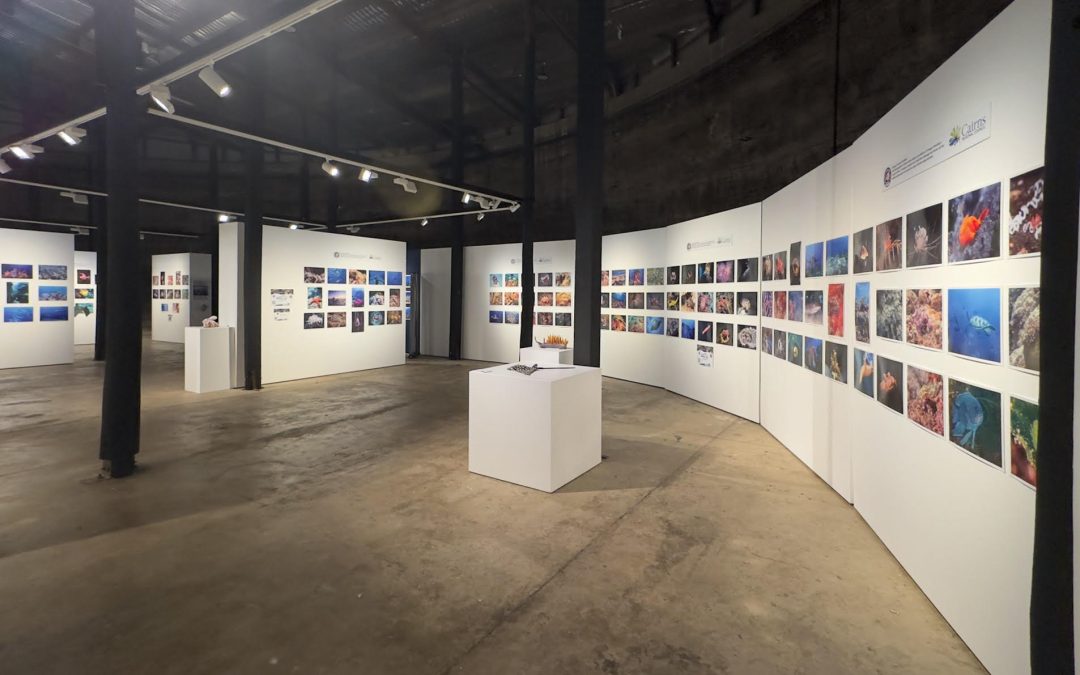 2025 Underwater Photo Competition Results
