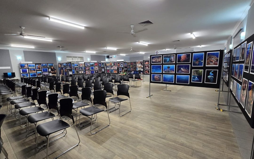 2026 Underwater Photo Competition Results