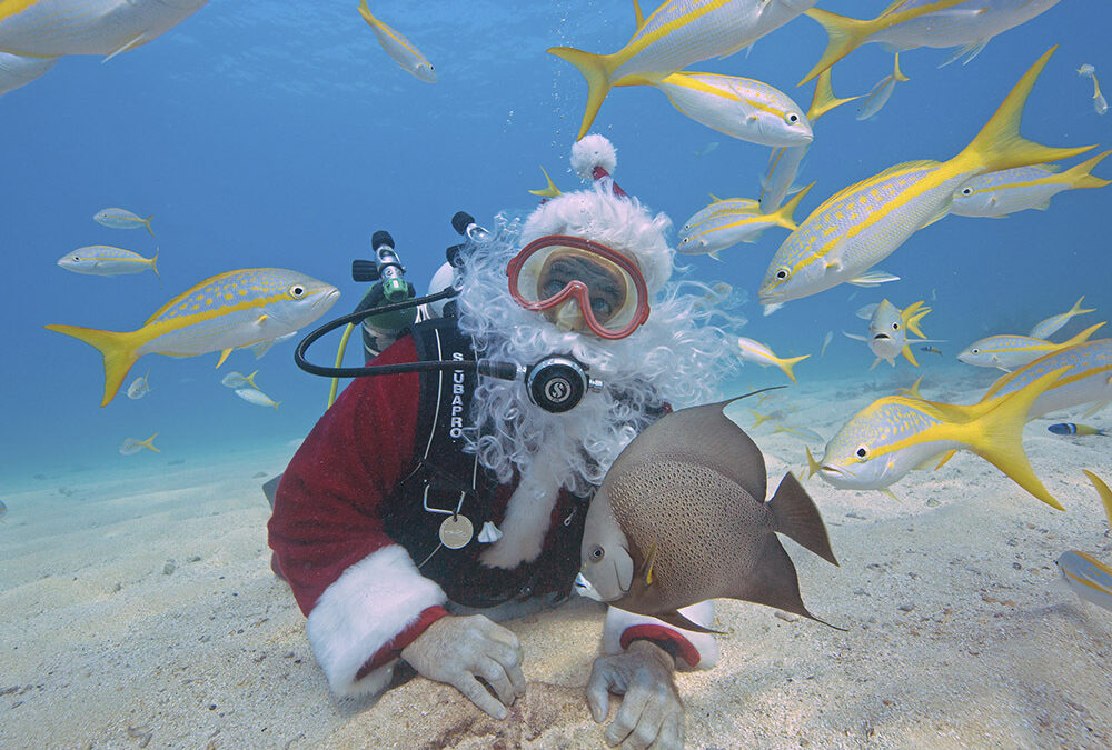 Nautilus Christmas Dive 10th December