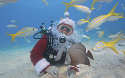 Nautilus Christmas Dive 10th December