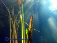 tony-black-compact-camera-wide-angle-1st